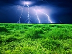 Lightning Storm Over The Wheat Field