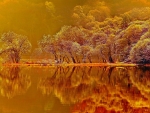 Mirror in the Lake at Sunset,