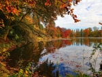 Autumn Lake