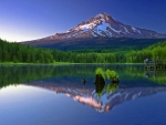 Reflecting Mount Hood