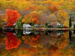 Lakeside Cottage in Autumn