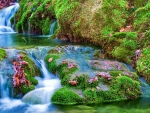 Waterfall Among the Mossy Stones
