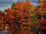 Autumn Trees  Reflection in the Water