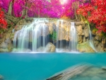 Beautiful Waterfalls with Flowers