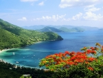 Tortola British Virgin Islands