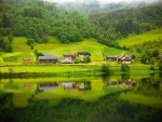 Beautiful Green Reflection