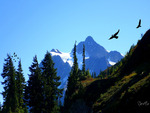 Mount Shuksan 