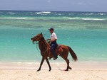 Horse on beach patrol