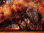 Autumn Forest Tree