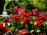 Flower Garden Park