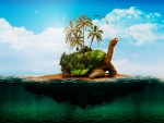 The Tortoise Island