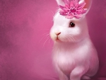 Sweet Bunny