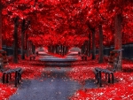 Misty Red Autumn Park
