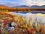 AUTUMN from ABISKO NATIONAL PARK