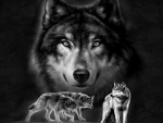 Beautiful Wolves