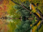 Autumn Lake Reflection