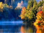 Misty River In Autumn