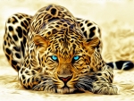 Leopard with Blue Eyes
