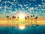 Fantastic Sunset Over Palm Trees