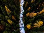 Stormy River in the Taiga, Top View