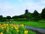 Sunflower Pagoda