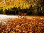 Fall Bench