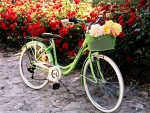 Lovely Bicycle
