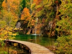 Log Bridge in Plitvice Lake