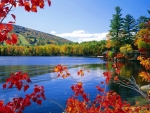 Autumn Lake