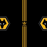 NEW Wolves & Adidas