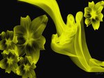 Yellow Smoked Floral Abstract