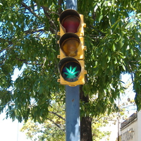 GREEN MEANS GO