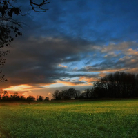 Beautiful Field Sunset