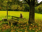 Peaceful Resting Bench