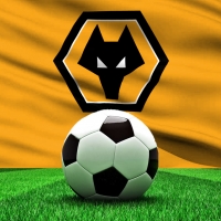 Molineux Pitch
