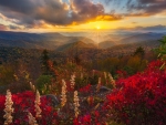 Golden Sunset Over The Blue Ridge