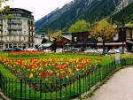 Chamonix City France