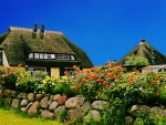 Rugen Island Thatched