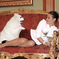 The dog always forgive,no matter how we are guilty