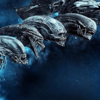 Xenomorph Wallpapers