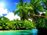 Tropical Landscape
