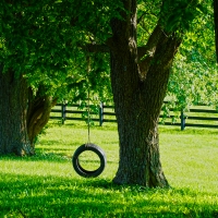 Tire Swing Farm