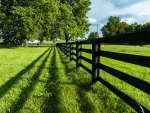 Kentucky Country Fence
