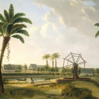 Plantation in Suriname