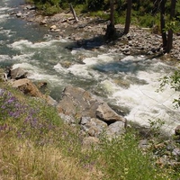 shoal rapids