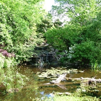 water garden