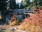 Old Cabin at Daily Prairie