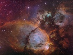 The Colors of IC 1795