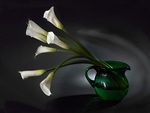 callas in green vase