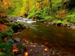 Autumn River